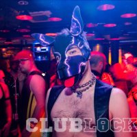 PupD(@RealPup_D) 's Twitter Profile Photo