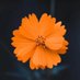 miniana ba.“❤️ Memecoin” (✸,✸) (@minianaba) Twitter profile photo miniana ba.“❤️ Memecoin” (✸,✸) (@minianaba) Twitter profile photo