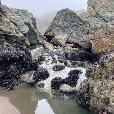 bulman_sandy's profile picture. Climate change: Know who believes it? Insurance cos, USDOD,USDHS. I like rocks, specially fossils. Also, ART. Parkinsons Disease sucks.