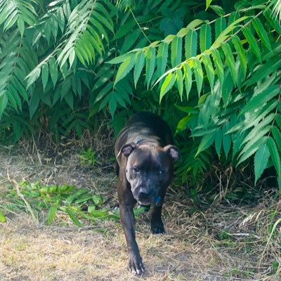 danielle_12xx's profile picture. 