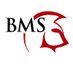 Battlefield Middle (@warriorsbms) Twitter profile photo Battlefield Middle (@warriorsbms) Twitter profile photo