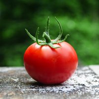 Plant Bio-Immunization (@bioimmunization) 's Twitter Profile