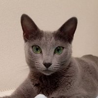 きょうちゃん (@ezplsbl7xpynxnb) 's Twitter Profile