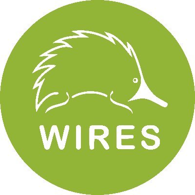 WIRES provides assistance for native Australian wildlife and the community across Australia 24-hours a day, 365 days a year via our Rescue line 1300 094 737