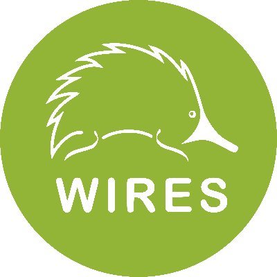 WIRESWildlife Profile Picture