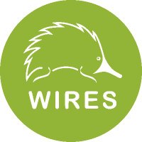 WIRES(@WIRESWildlife) 's Twitter Profile Photo