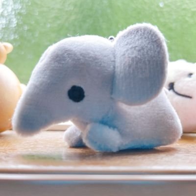 ようかさんのプロフィール画像