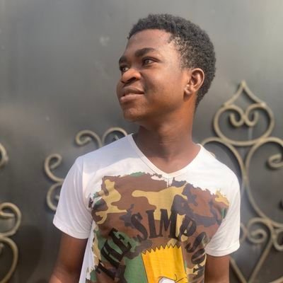 techlead__'s profile picture. 19 year old frontend developer from 🇳🇬
| Frontend engineer | Space tech enthusiast
| Frontend developer intern @tribease
| Dm for projects