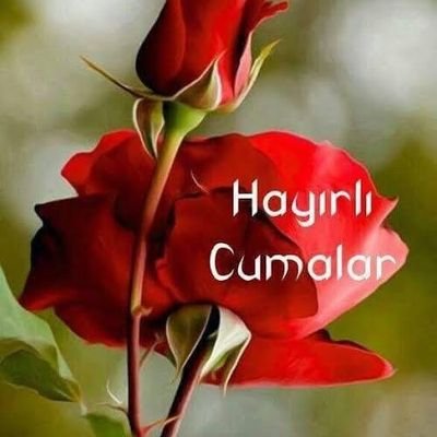🇹🇷DEME BANA,OĞUZ, KAYI, OSMANLI.TÜRK ÜM.BU AD,HER ÜNVAN DAN ÜSTÜNDÜR.YOKTUR,ÖZBEK,NOGAY,KIRGIZ,KAZANLI.TÜRK MİLLETİ,BÖLÜNMEZ BİR BÜTÜN DÜR♥️
