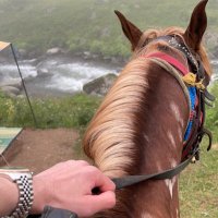 عبدالله المنصوري (@kqp_kw) Twitter profile photo