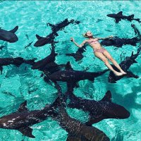 Rickychix (@rickychix) 's Twitter Profile Photo