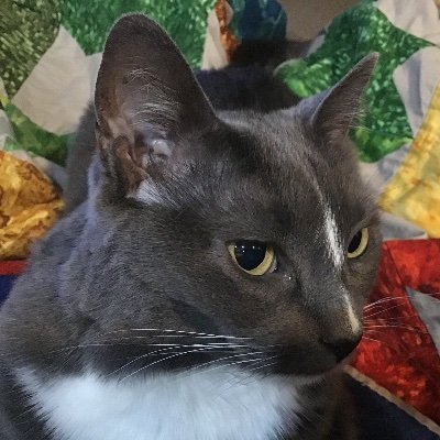 juniorkarl21's profile picture. I’ve been turning GIR’s into bogeys longer than Sergio Garcia has been throwing temper tantrum’s