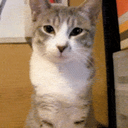 hi - @SamEarleFans - Twitter