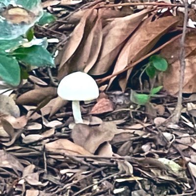 鎌倉市から都内に通勤したり在宅勤務したりする人です。 某メーカーでプロダクトデザインしてます。娘が2人いる。仕事と家事と育児をしたい。子育てに関するあれやこれやを書き留めるブログを書いています(停滞中)。 パイナップルが好き。左利きマウス難民の会会長(会員数1)。ボルボV60 B5 Inscription