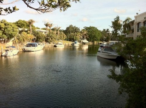 alzayedn's profile picture. 