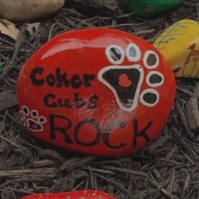 CokerLibrary's profile picture. Coker Elementary Library, NEISD