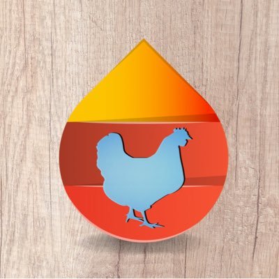 Producción de Pollos en pie y Huevos🐓🇪🇨👌