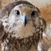 خالد بن عبدالله (@k61516607) Twitter profile photo خالد بن عبدالله (@k61516607) Twitter profile photo