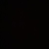 Brennan Carroll (@brennanpcarroll) 's Twitter Profile