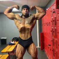 jake.the.bodybuilder 2% (@jakethesnakeee4) 's Twitter Profile