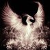 TruthSeeker7 (@prophecy_106) Twitter profile photo TruthSeeker7 (@prophecy_106) Twitter profile photo