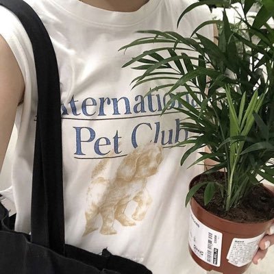 qbibell's profile picture. fairy.