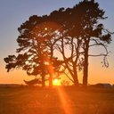 jacob Paz - @jacob53847665 - Twitter