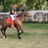 Jitender Kumar (@imboxerjitender) 's Twitter Profile