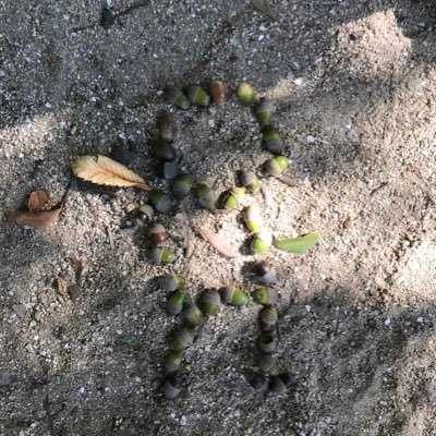 関西在住。Twitter初心者です。ストレスの少ない楽しい人生を目指してます。直近の目標はUSJと沖縄にいくことです!