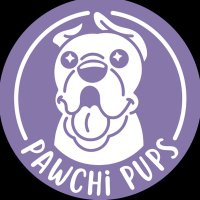 Pawchi Pups(@pawchipups) 's Twitter Profile Photo