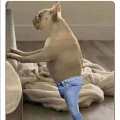 kazoomm1's profile picture. 