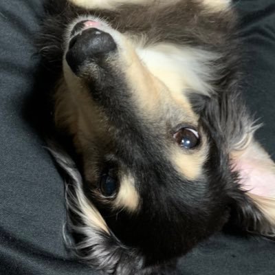 FATE722's profile picture.