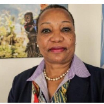 Chief, Systems-Wide Coherence, ECA, Passionate about Gender Equality #making this world a better place for all. Tweets are mine!
