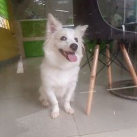 Gentle D (@dan_ogd) 's Twitter Profile