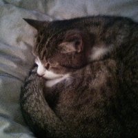 Beth Walters (@bethwal55994609) 's Twitter Profile