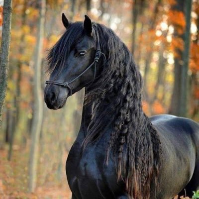 alwassan558's profile picture. لا أرد السيئة بالسيئة واضع للناس سبعون عذر بعدها انسحب ☝️️