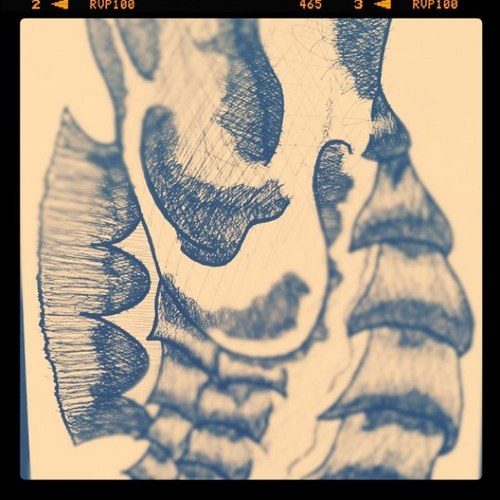 thesoundhorse's profile picture. 