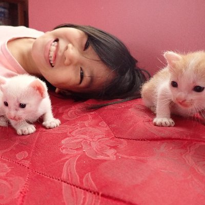 ผู้ตกหลุมรักรอยยิ้มแมวทุกตัวบนโลก และรอยยิ้ม pp kritt