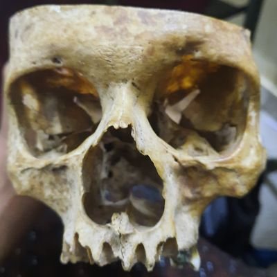 DrToxic99's profile picture. A frustrated Medico...
I'm toxic and dead
A living being with lots of love ❤️ 😍 
I'm not good, not bad.....
Literature ❤️