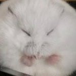 なだ (@_na__da) 's Twitter Profile