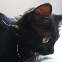 YOU (@viva31viva) 's Twitter Profile Photo