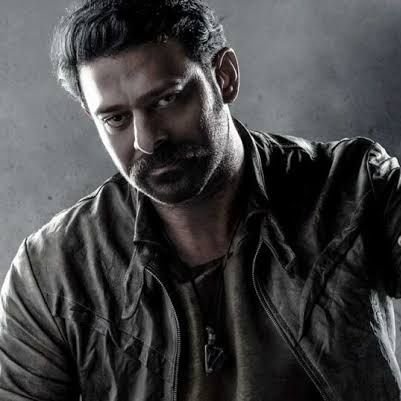 rocky_rockssss's profile picture. 