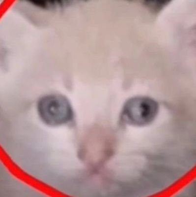 ALeoneo53's profile picture. 