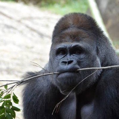 らび子さんのプロフィール画像