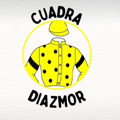 Cuadra Canaria, con más de 40 años de historia 💛⚫ #Diazmorforever. Milagres🐎 TigerBash🐎 Astimegoesby🐎 Juanillo🐎 BabyOver🐎 OldSummit🐎