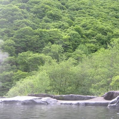 夫婦で混浴温泉へ入るのが好き♨ そして楽しい出会いも好き♨ゆる〜く、のんびりと。※リツイート禁止！転載禁止！無言フォロー失礼致します。夫婦共同垢