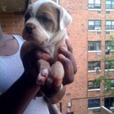 Greg Carter - @Rc4life84 - Twitter