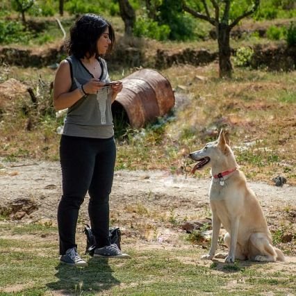 IsSun9's profile picture. Music. Animals. Nature. Steven Wilson. Anime. Travel. Dreamcatchers. Tacos. Wisdom of the Sun&Moon! #catlady #6cats2dogs #ForTheHorde