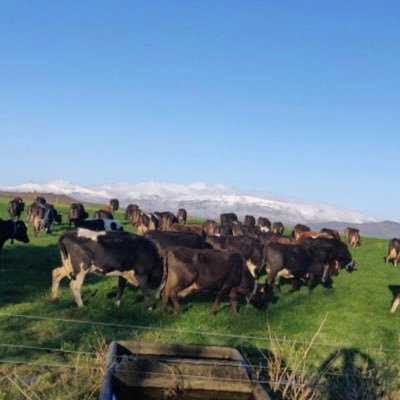 Waterford 
Dairy Farmer 🐄