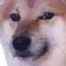 Pisit Memuk (@trrrxex) Twitter profile photo Pisit Memuk (@trrrxex) Twitter profile photo